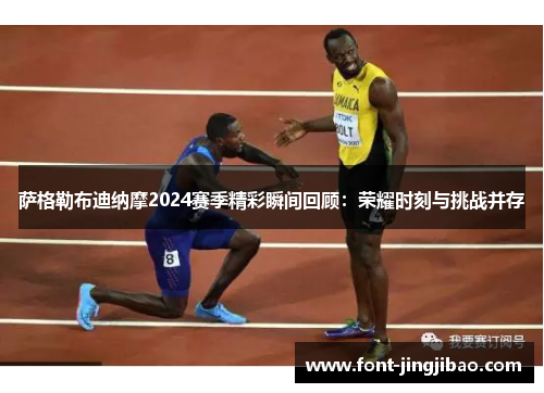 萨格勒布迪纳摩2024赛季精彩瞬间回顾：荣耀时刻与挑战并存